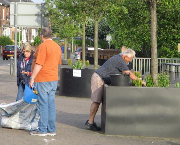 Volunteers shown clearing weeds and rubbish from the planters in the Pightle ready for the summer