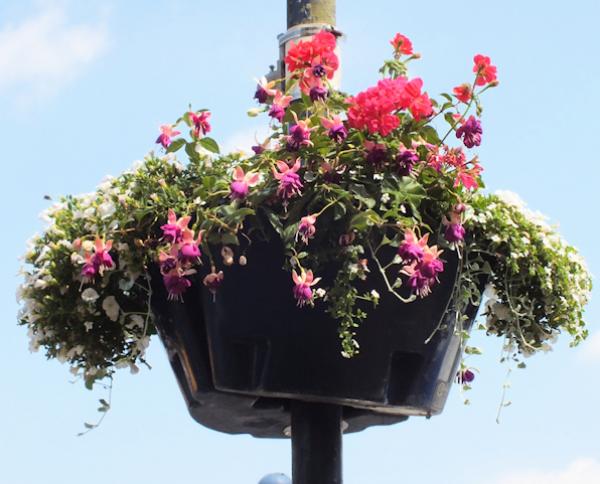 Haverhill in Bloom 2018