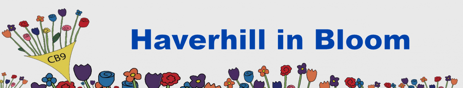 Haverhill in Bloom